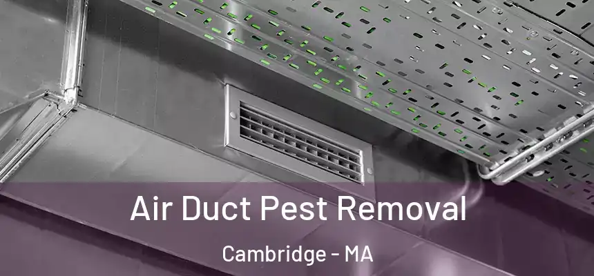  Air Duct Pest Removal Cambridge - MA