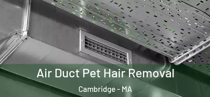  Air Duct Pet Hair Removal Cambridge - MA