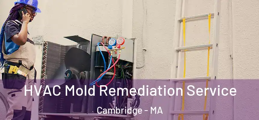  HVAC Mold Remediation Service Cambridge - MA