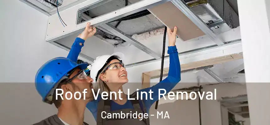  Roof Vent Lint Removal Cambridge - MA