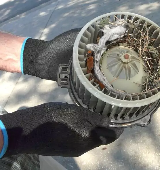 About Air Duct Mice Removal in Cambridge, MA