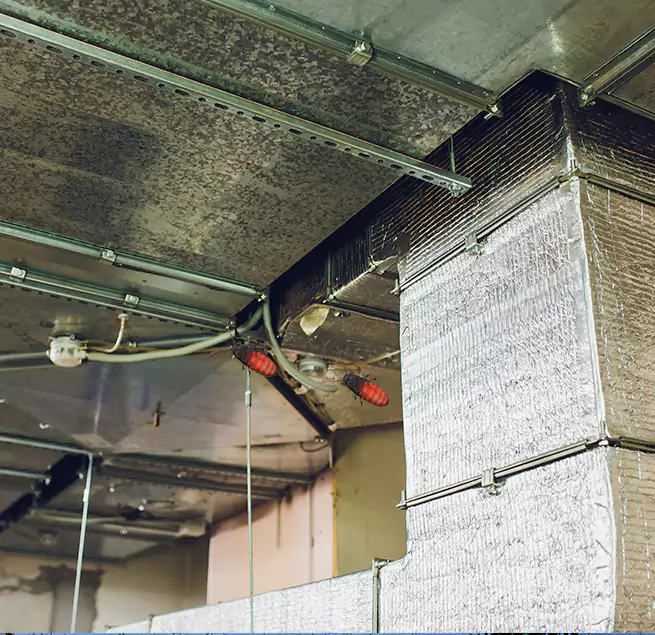 Why Homeowners & Businesses Trust Us in Cambridge, MA?