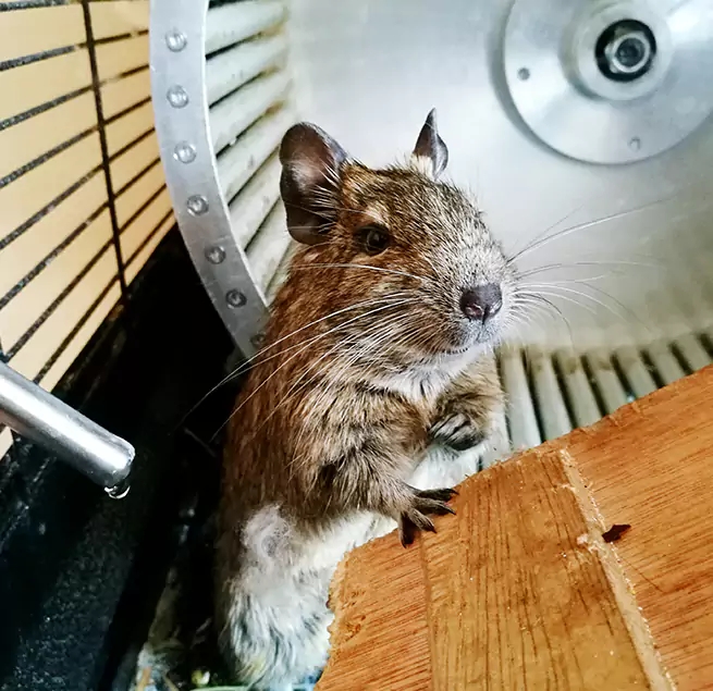 Why Homeowners & Businesses Trust Us Cambridge, MA