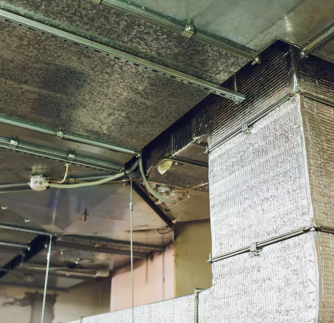 Why Homeowners & Businesses Trust Us in Cambridge, MA?